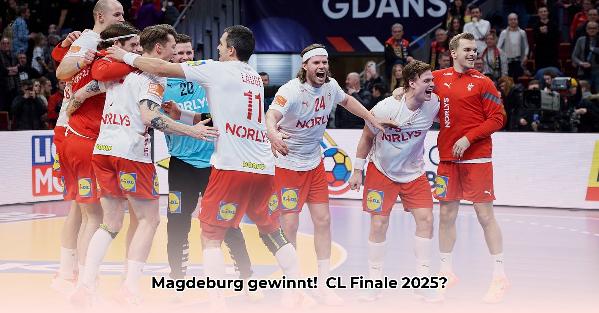 handball-champions-league-heute